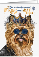 Birthday Biewer Terrier Dog Funny King for a Day card