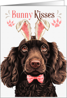 Easter Bunny Kisses Boykin Spaniel Dog in Bunny Ears card