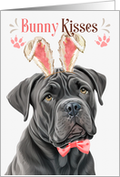 Easter Bunny Kisses Cane Corso Dog in Bunny Ears card