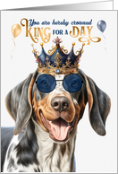Birthday Bluetick Coonhound Dog Funny King for a Day card