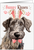 Easter Bunny Kisses Scottish Deerhound Dog in Bunny Ears card