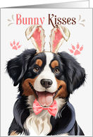 Easter Bunny Kisses Entlebucher Mountain Dog in Bunny Ears card