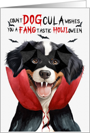 Entlebucher Mountain Dog Funny Halloween Count DOGcula card