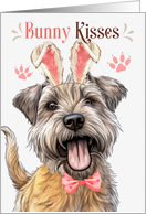 Easter Bunny Kisses Glen of Imaal Terrier Dog in Bunny Ears card