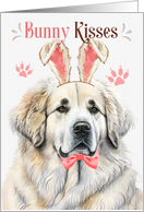 Easter Bunny Kisses Great Pyrenees Dog in Bunny Ears card