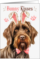 Easter Bunny Kisses Wirehaired Pointing Griffon Dog in Bunny Ears card
