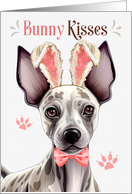 Easter Bunny Kisses Hairless Terrier Dog in Bunny Ears card
