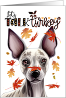 Thanksgiving Hairless Terrier Dog Let’s Talk Turkey card