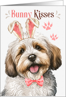 Easter Bunny Kisses Havanese Dog in Bunny Ears card