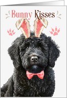 Easter Bunny Kisses Black Labradoodle Dog in Bunny Ears card