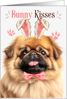 Easter Bunny Kisses Pekingese Dog in Bunny Ears card