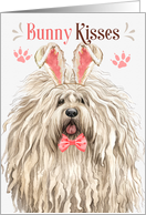 Easter Bunny Kisses Puli Dog in Bunny Ears card