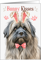 Easter Bunny Kisses Pyrenean Shepherd in Bunny Ears card