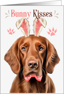 Easter Bunny Kisses Irish Setter Dog in Bunny Ears card