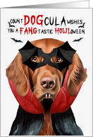 Irish Setter Dog Funny Halloween Count DOGcula card