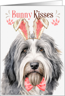 Easter Bunny Kisses Bearded Collie Dog in Bunny Ears card