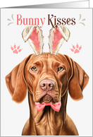 Easter Bunny Kisses Vizsla Dog in Bunny Ears card