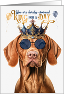 Birthday Vizsla Dog...