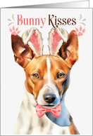 Easter Bunny Kisses Basenji Dog in Bunny Ears card