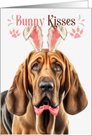 Easter Bunny Kisses Bloodhound Dog in Bunny Ears card