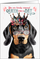 Birthday Black and Tan Coonhound Dog Funny Queen for a Day card
