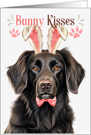 Easter Bunny Kisses Flat Coat Retriever Dog in Bunny Ears card