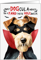 Fox Terrier Dog Funny Halloween Count DOGcula card