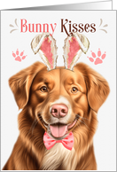 Easter Bunny Kisses Duck Tolling Retriever Dog in Bunny Ears card