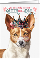 Birthday Portuguese Podengo Pequeno Dog Funny Queen for a Day card