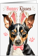 Easter Bunny Kisses Rat Terrier Dog in Bunny Ears card