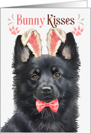 Easter Bunny Kisses Schipperke Dog in Bunny Ears card