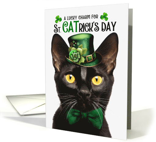 Bombay Black Cat Funny St CATrick's Day Lucky Charm card (1815388)