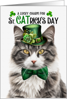 Grey and White Tabby Cat Funny St CATrick’s Day Lucky Charm card