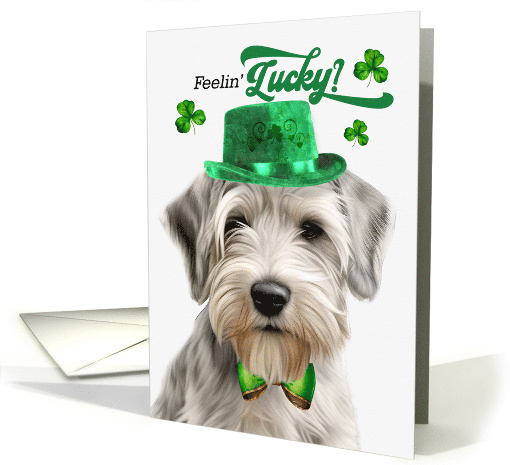 St Patrick's Day Sealyham Terrier Dog Feelin' Lucky Clovers card