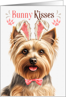 Easter Bunny Kisses Silky Terrier Dog in Bunny Ears card