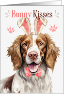 Easter Bunny Kisses Welsh Springer Spaniel Dog in Bunny Ears card