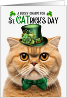 Orange Scottish Fold Cat Funny St CATrick’s Day Lucky Charm card