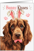 Easter Bunny Kisses Sussex Spaniel Dog in Bunny Ears card