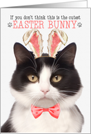 Black and White Cat Cutest Easter Bunny Funny Kitty Puns card