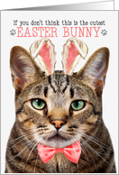 Brown Tabby Cat Cutest Easter Bunny Funny with Feline Puns card