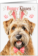 Easter Bunny Kisses Wheaten Terrier Dog in Bunny Ears card