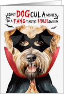 Wheaten Terrier Dog Funny Halloween Count DOGcula card