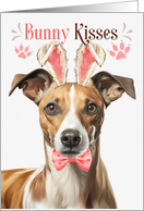 Easter Bunny Kisses Whippet Dog in Bunny Ears card