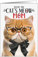Orange Exotic Shorthair Cat Mom Mother’s Day Cat’s Meow Humor card