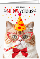 Orange Tabby British Shorthair Cat MEOWvelous Birthday card