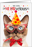 Burmese Cat MEOWvelous Birthday card