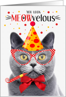 Chartreux Gray Cat MEOWvelous Birthday card