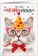 Silver Champagne Tabby Cat MEOWvelous Birthday card