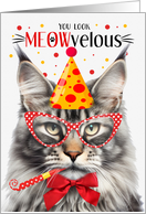 Maine Coon Silver Tabby Cat MEOWvelous Birthday card