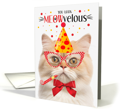 Munchkin Cat MEOWvelous Birthday card (1829980)